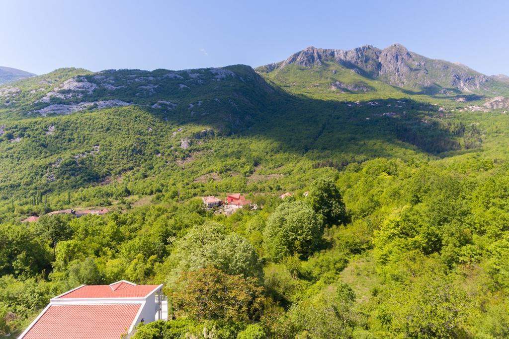 Whitehouse Villa Virpazar Kültér fotó